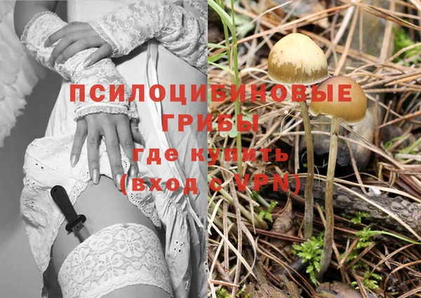 герыч Медвежьегорск