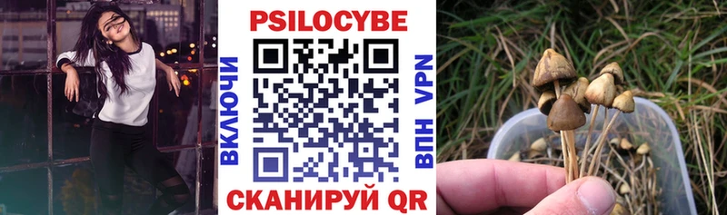 Псилоцибиновые грибы мицелий  Игарка 